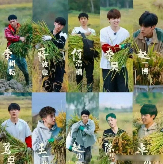 《种地吧》人没塌，节目却塌了！你还会继续追这部综艺吗 