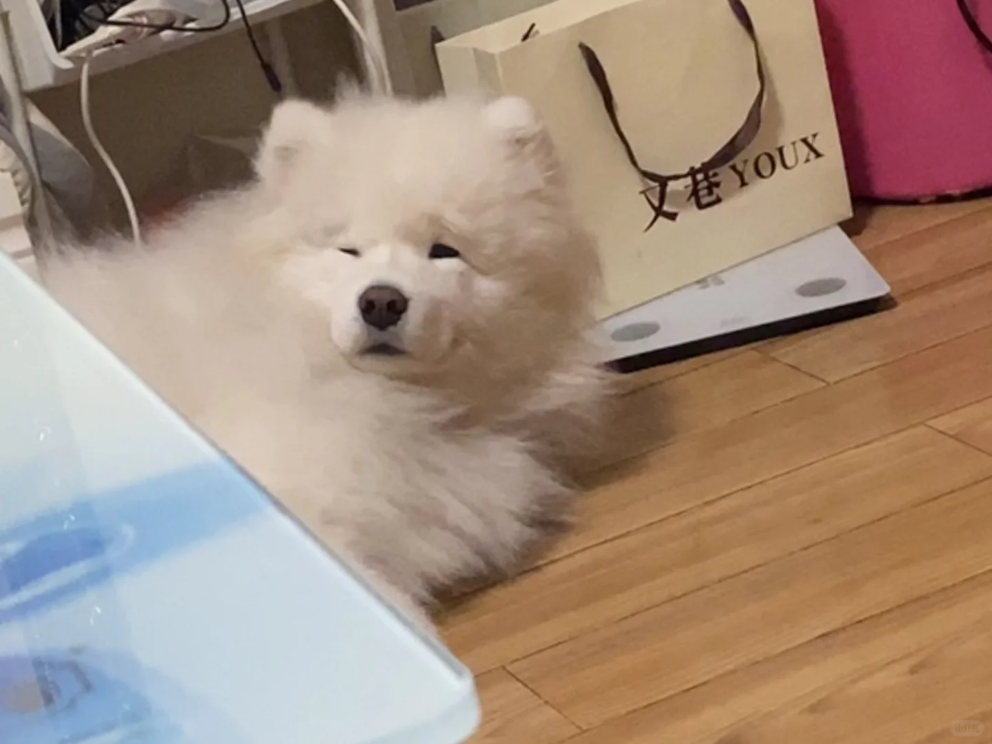 心想：你有事吗？
