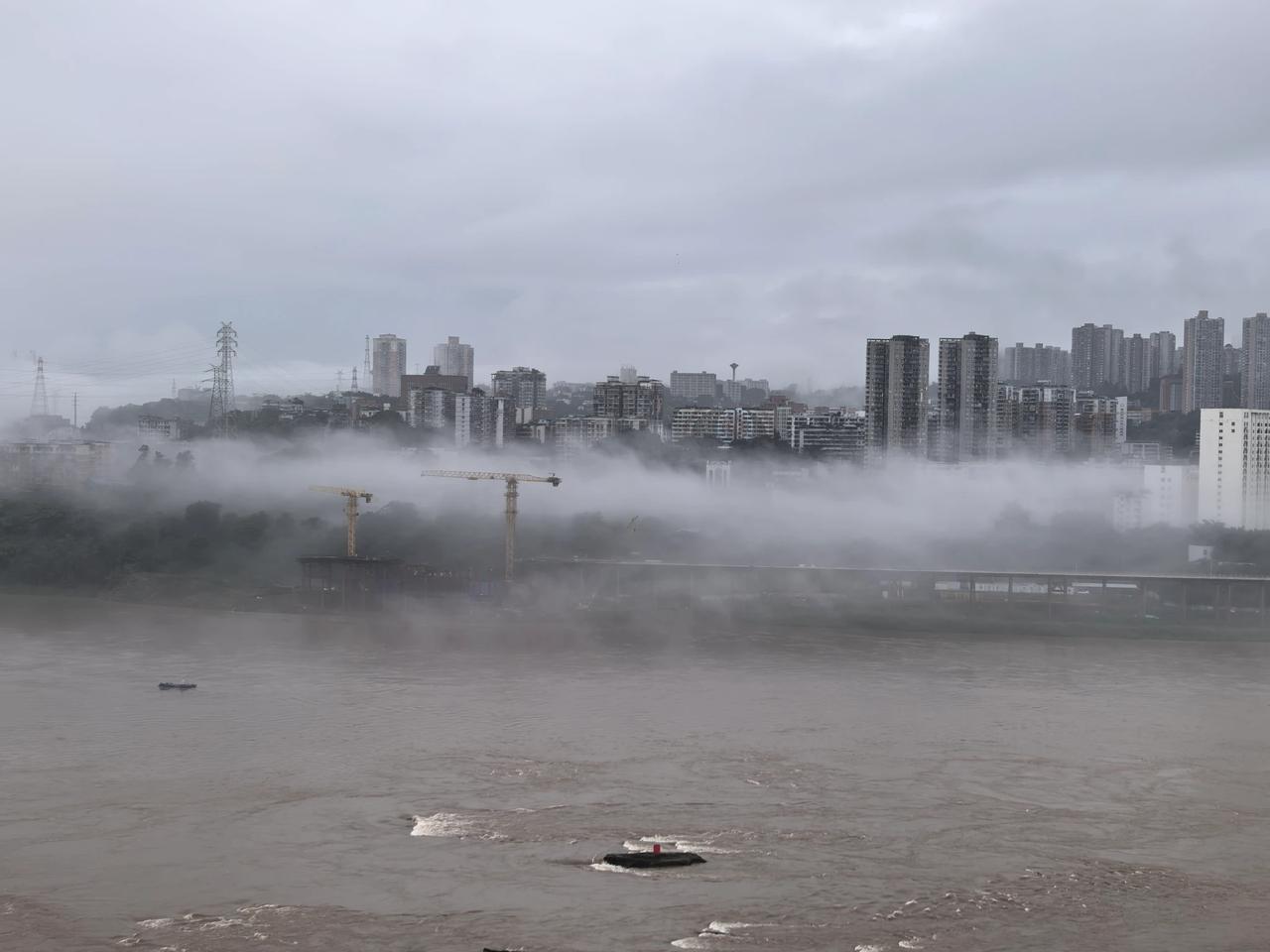 太仙了，很久没有见到如此好看的长江平流雾景啦。6月24日清晨6点半，我在窗前看到
