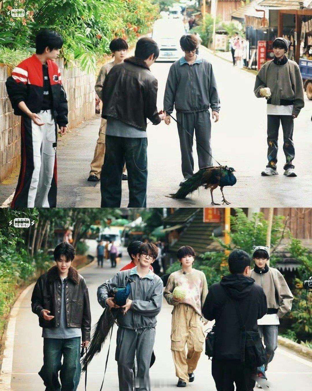 看到R1se合体，谁的青春又回来了！周震南、何洛洛、夏之光、张颜齐、任豪录制欢迎