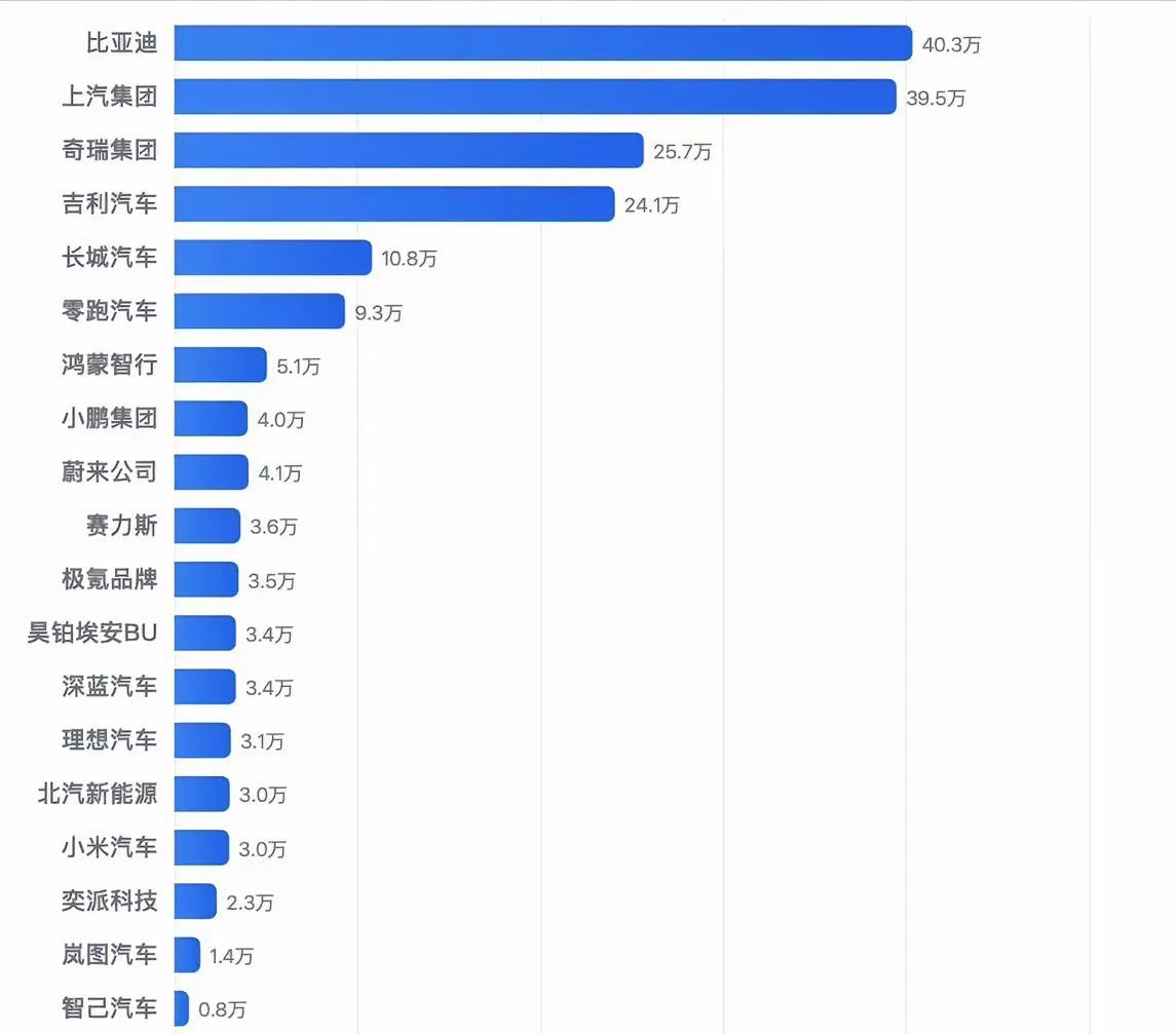 论销量比亚迪一枝独秀，奇瑞和吉利旗鼓相当，零跑与长城并驾齐驱了。
让子弹再飞一会