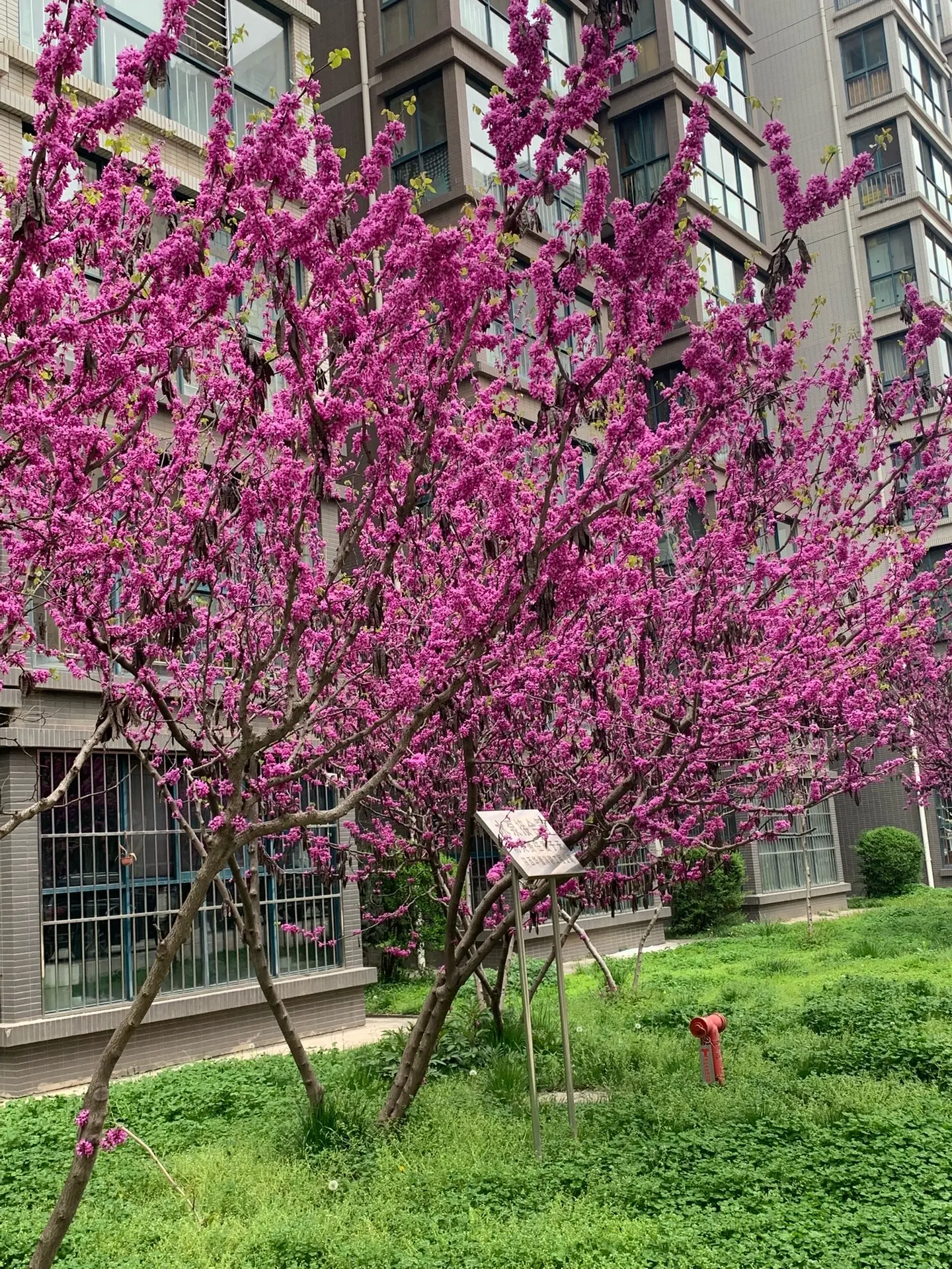 在自己的时光里我的摄影日记