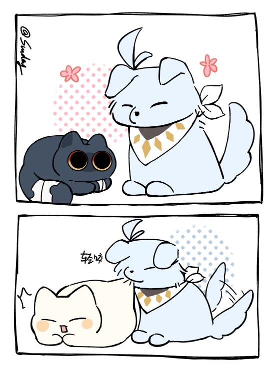 在崩铁实现了猫狗双全