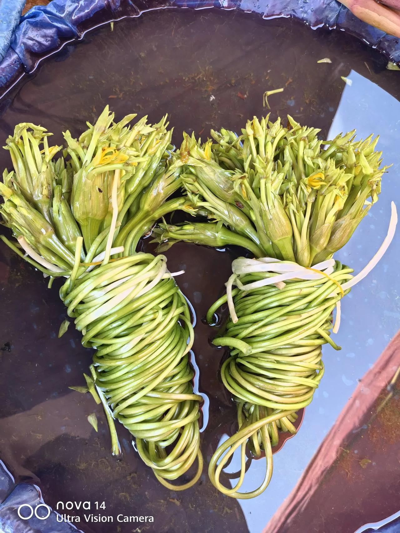 在云南有种花叫“水性杨花”，这种花炒菜，煮火锅很好吃。
这种花又叫海菜花，主要生