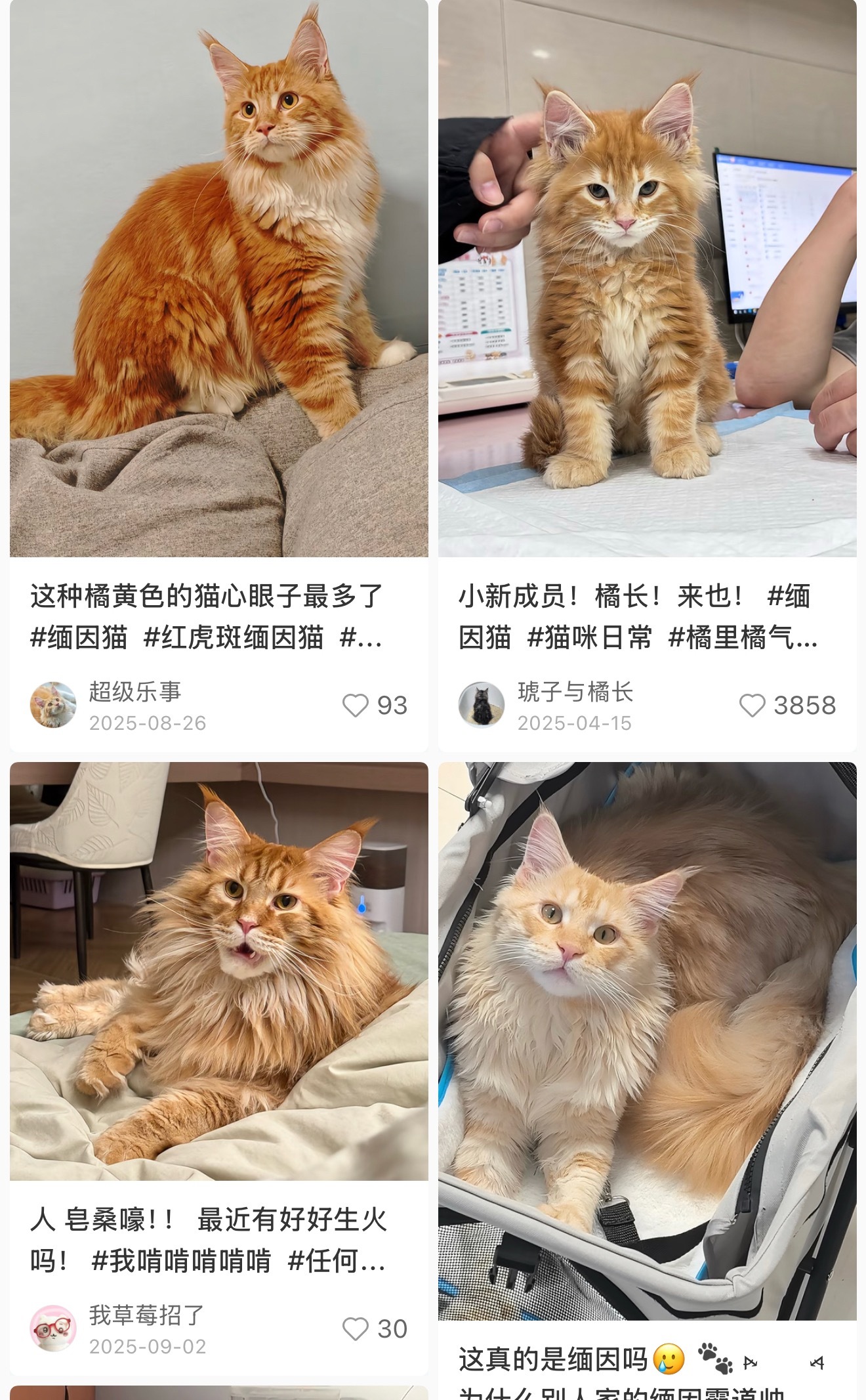 这不挺像的吗