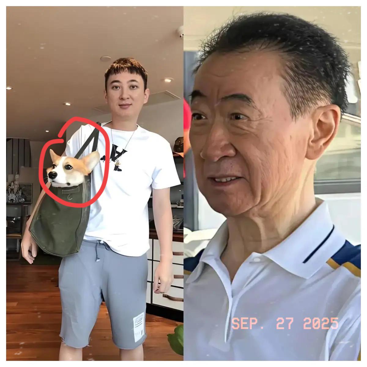 王健林的“遗憾”：再有钱，也盼着抱孙子！

说真的，谁能想到71岁的王健林，坐拥
