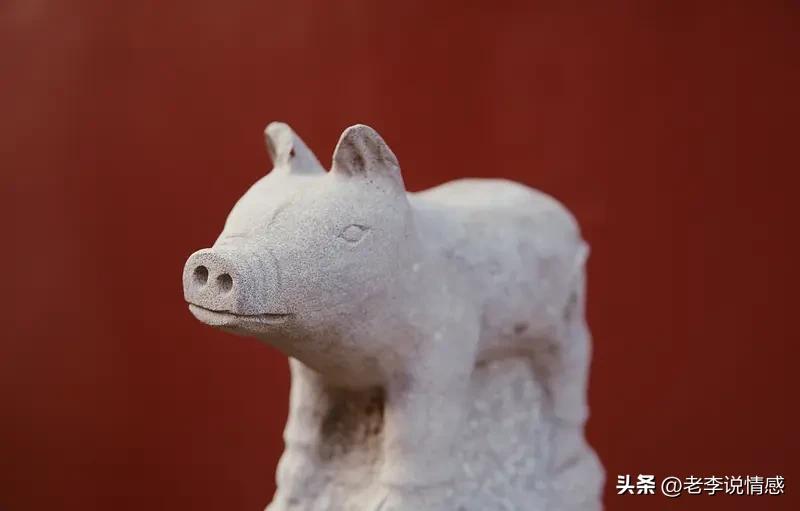 7月17号至23号，生肖猪有好事发生！一直坚持的两件事终于有说法了。
猪外表随和