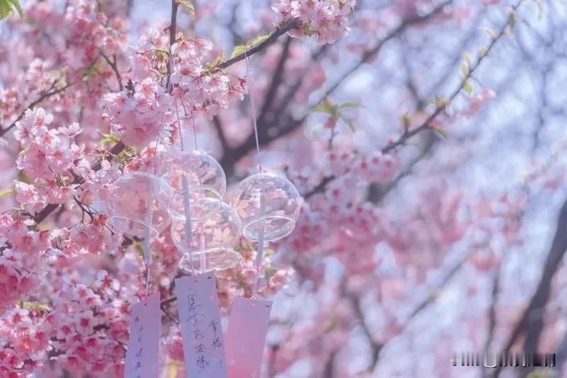 爱，是深夜那声温暖的叮咛，是如春风般无形却温柔的存在，是让你甘愿付出一切、包容对