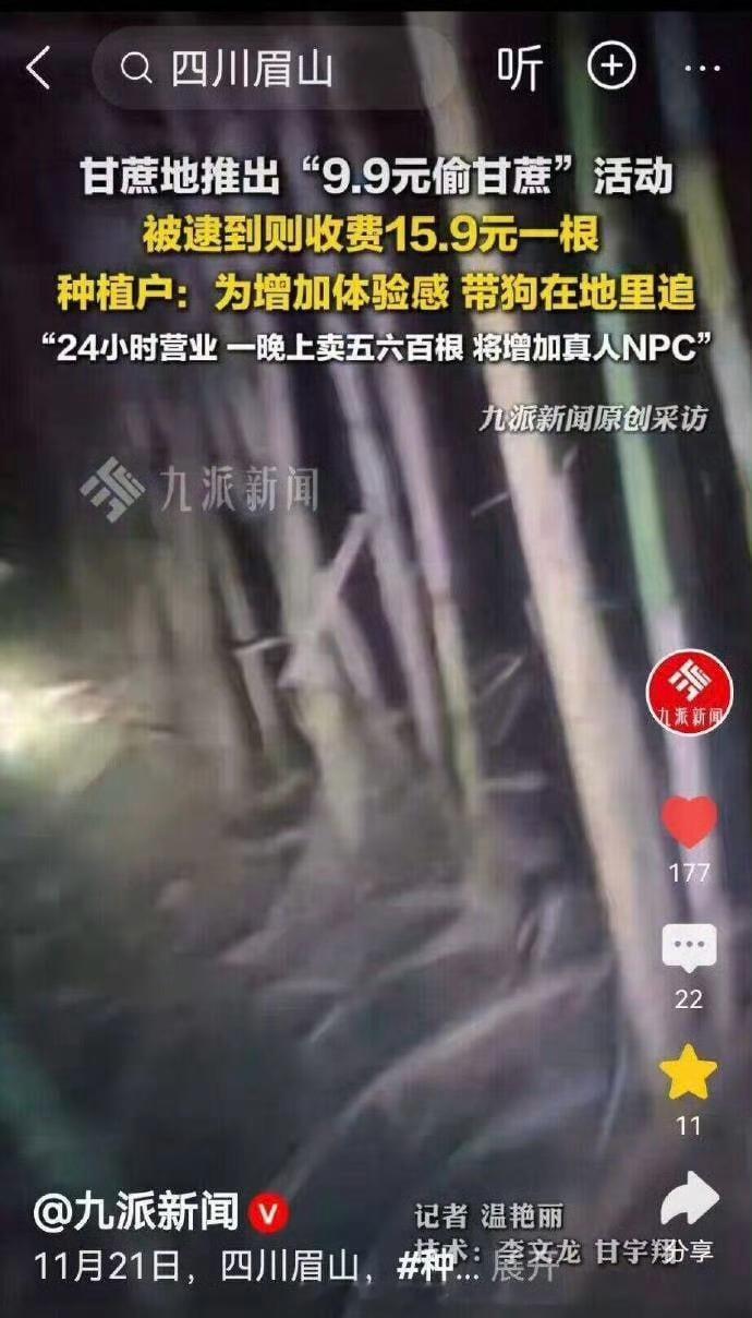 应该一批客户偷，一批客户抓，老板两头收钱