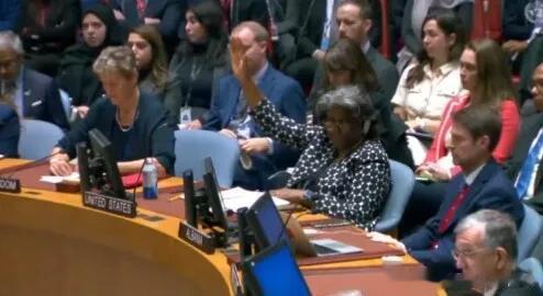 美国1票否决了巴西在联合国安理会起草的一项决议，内容包括允许人道主义援助进入加沙