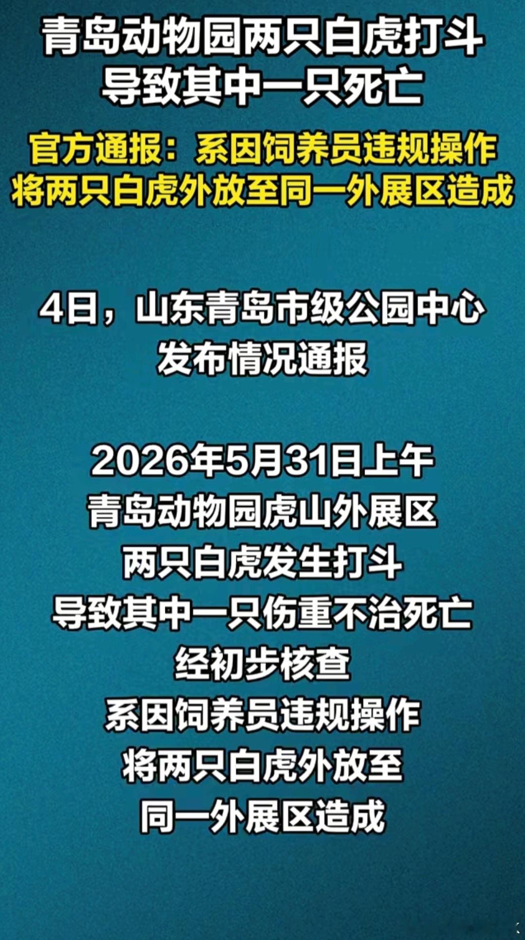 白虎打斗1只死亡系饲养员违规操作古人云：两虎相斗，必有一伤，一山不容二虎，饲养员