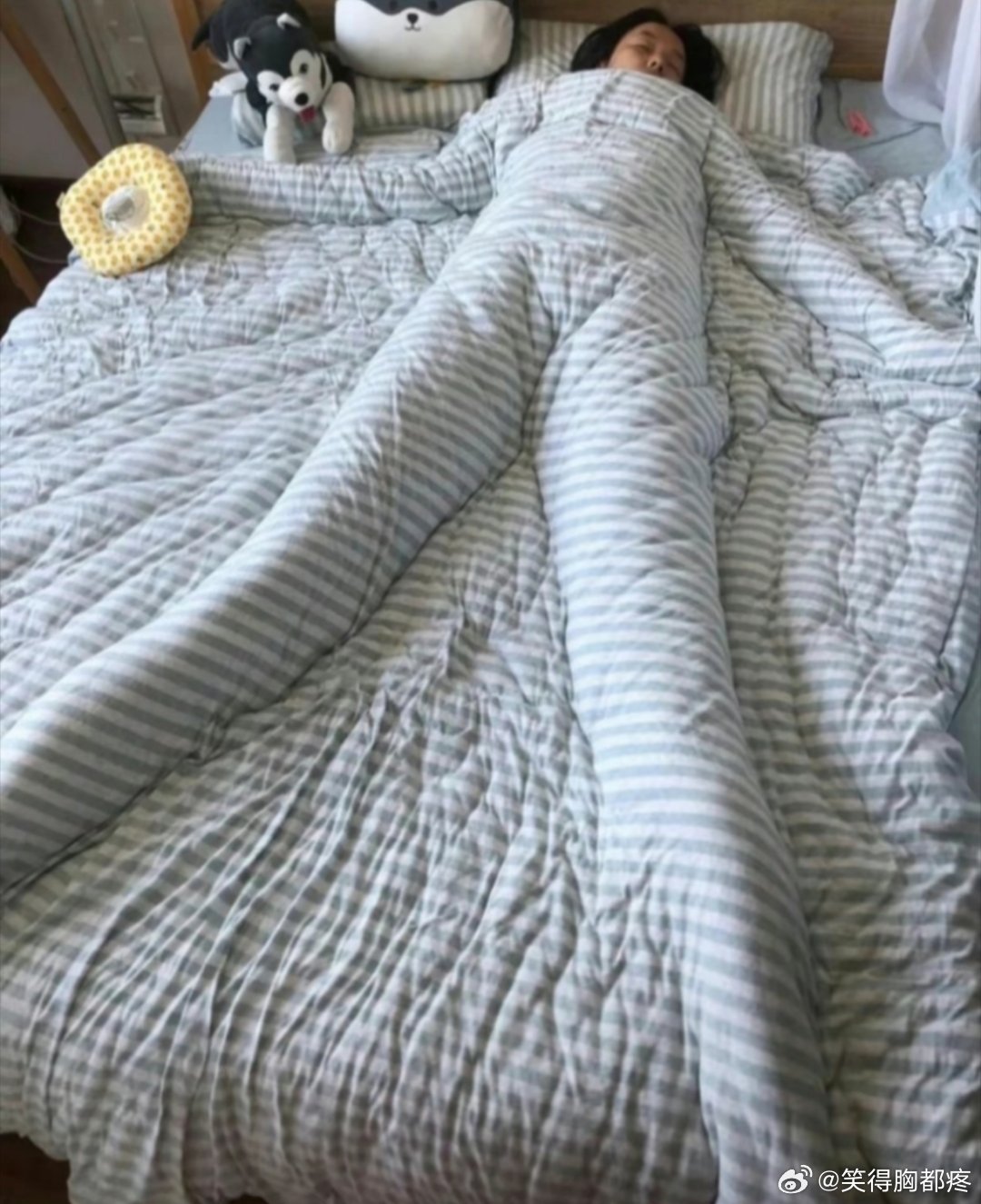 趁我闺蜜睡着了，给她拍了一张她想要的大长腿照片。[哈哈][哈哈][哈哈]#搞笑#