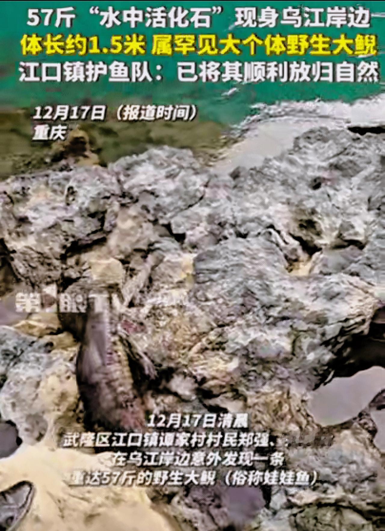 “幸亏发现及时！”重庆一村民干活时，突然发现石头缝有动静，他起初以为是“辣条”，