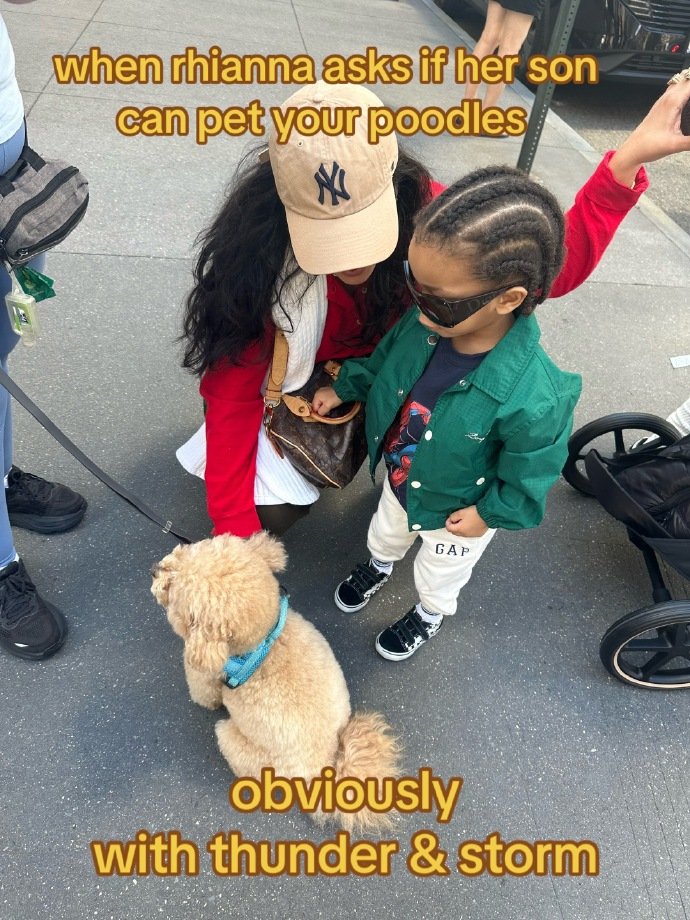 蕾哈娜儿子蜘蛛侠主题生日派对 蕾哈娜儿子生日礼物是谁的一辈子 蕾哈娜夫妇为3岁儿