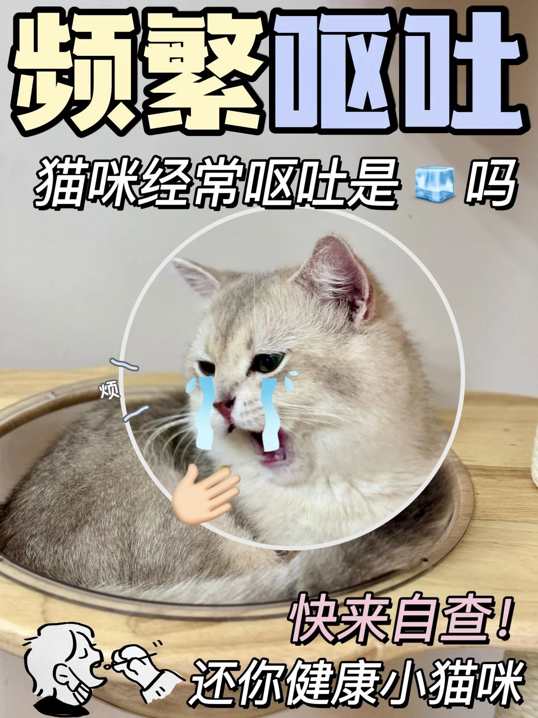 又又又吐了🤮猫咪频繁呕吐到底怎么办😭