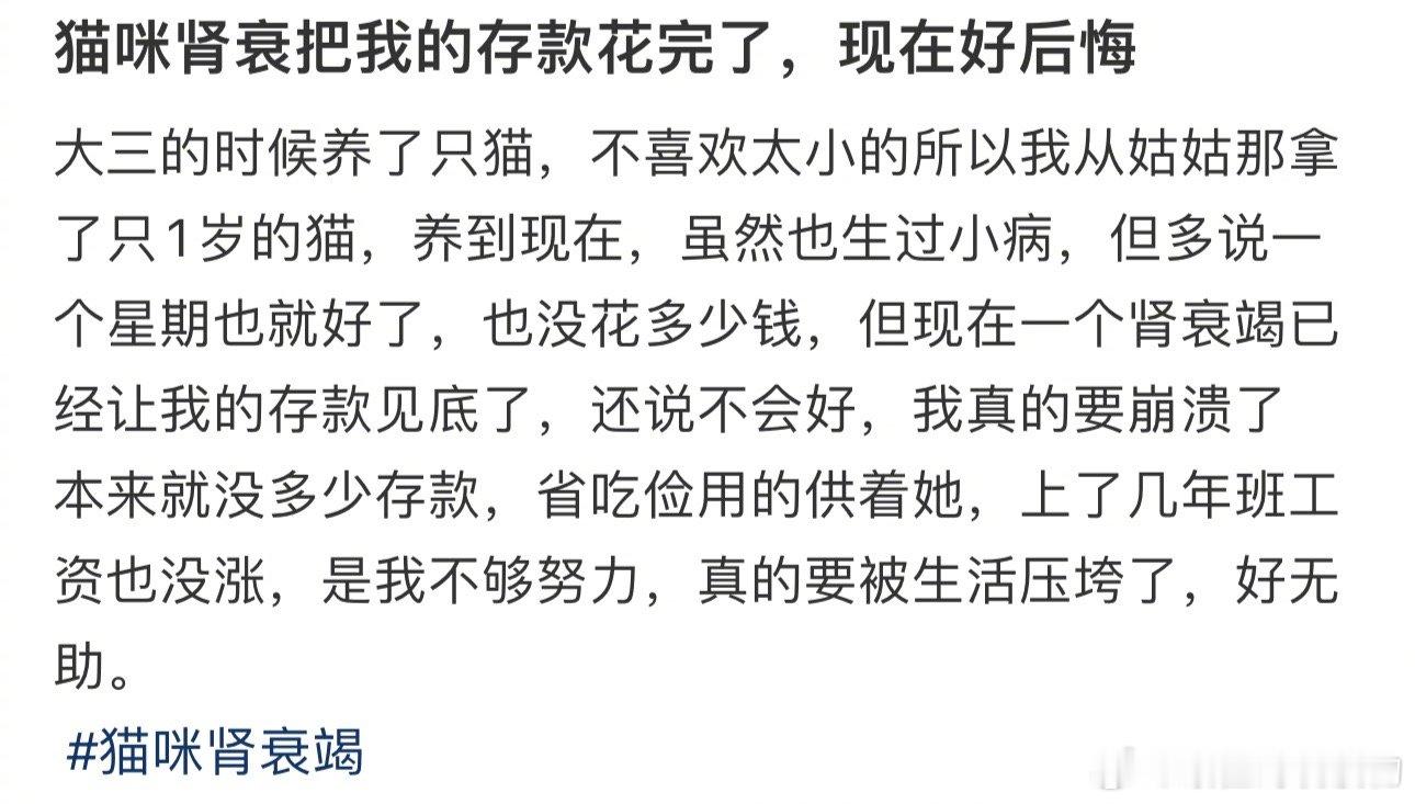 猫咪肾衰把我的存款花完了，现在好后悔 ​​​