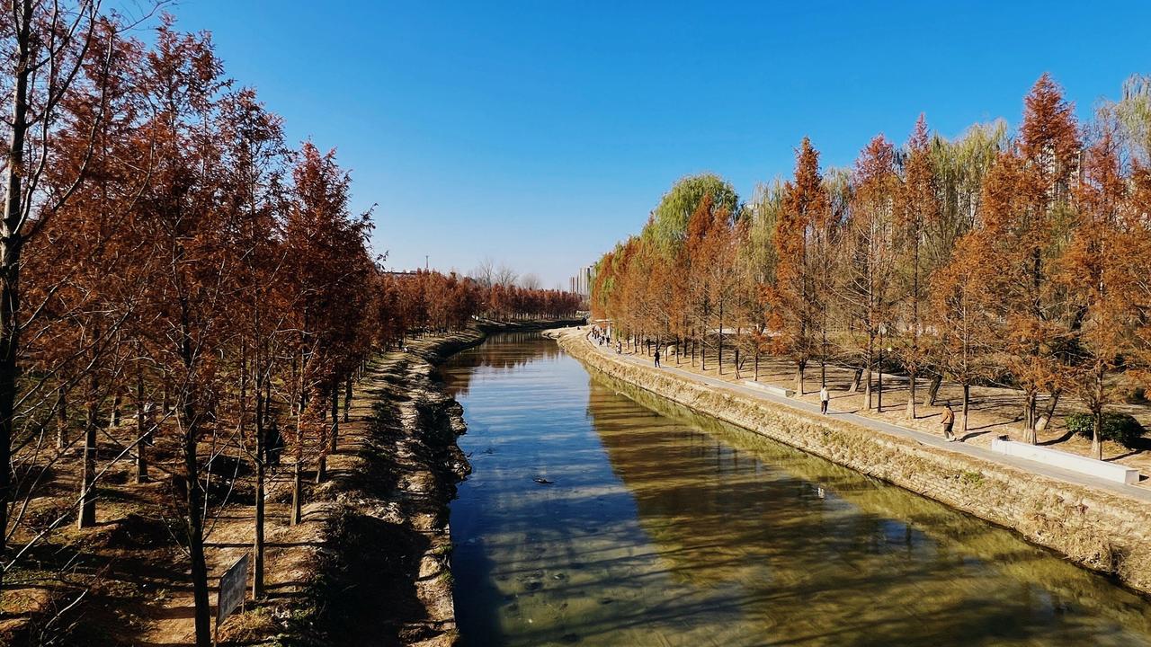 冬日暖阳

寒夜里风声飒，孤寂被放大
黑暗中思念发芽，回忆在挣扎
看那秃枝挂冰碴