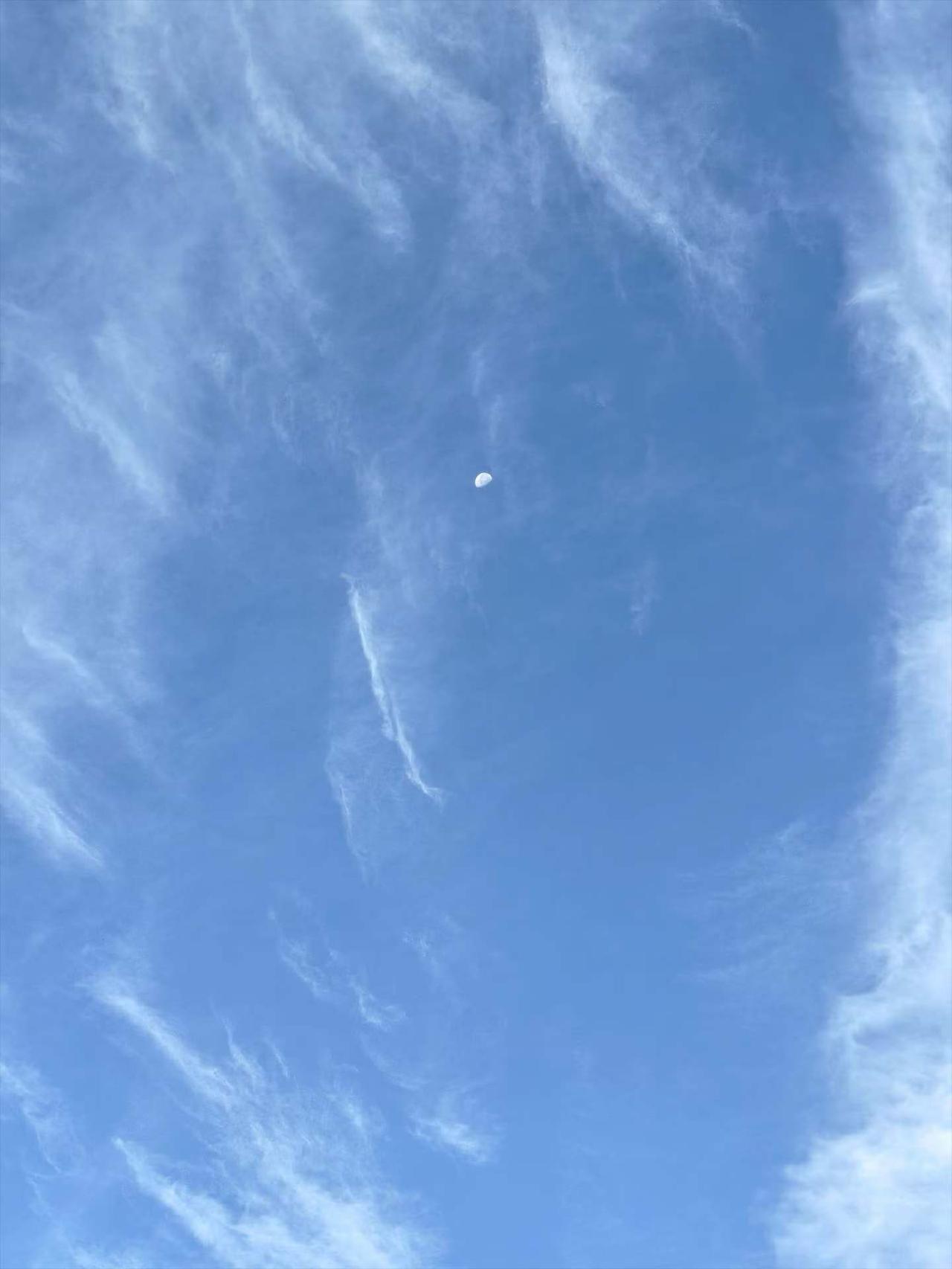 云南洱海是湖泊还是海