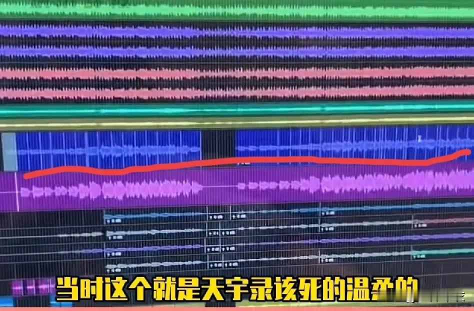 《该死的温柔》制作人吕雯公开了马天宇录制的工程文件。
简单来说，本来想力挺马天宇