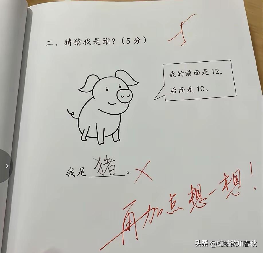 无论前面是什么，后面是什么，猪还是猪。还有，老师你说的再加点是何意思？