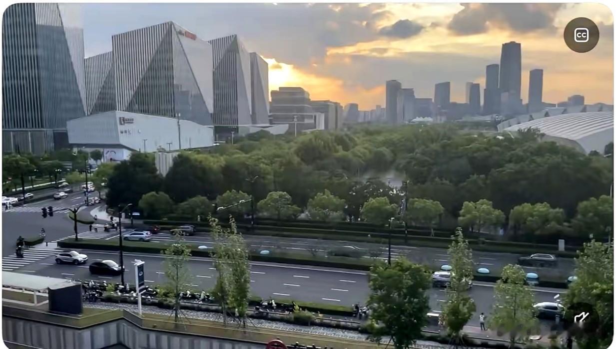 上海“城市绿化”项目是剥夺人权？这位意大利人真敢胡说八道！这不是故意明目张胆的颠