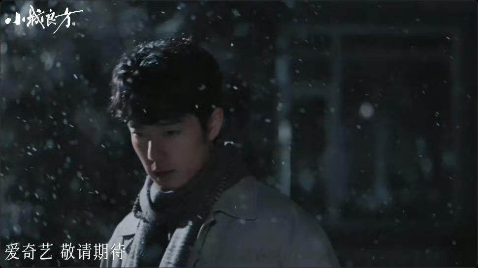 肖战小城良方推介会项目介绍肖战小城良方项目介绍柠萌影视×爱奇艺×央视 联合力荐！