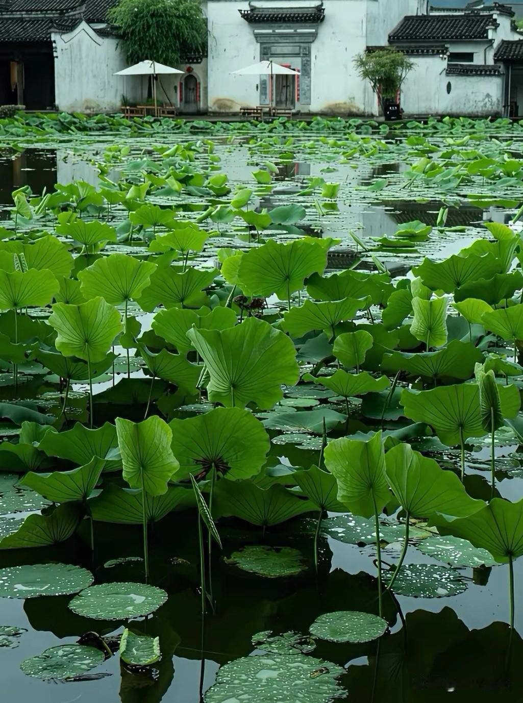 水调歌头·行处即春秋（毛滂体）
经年困旧梦，临水倚西楼。几回追忆，千般陈迹尽成愁