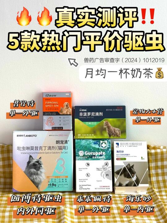 5款驱虫药真实测评！新手养猫闭眼抄作业