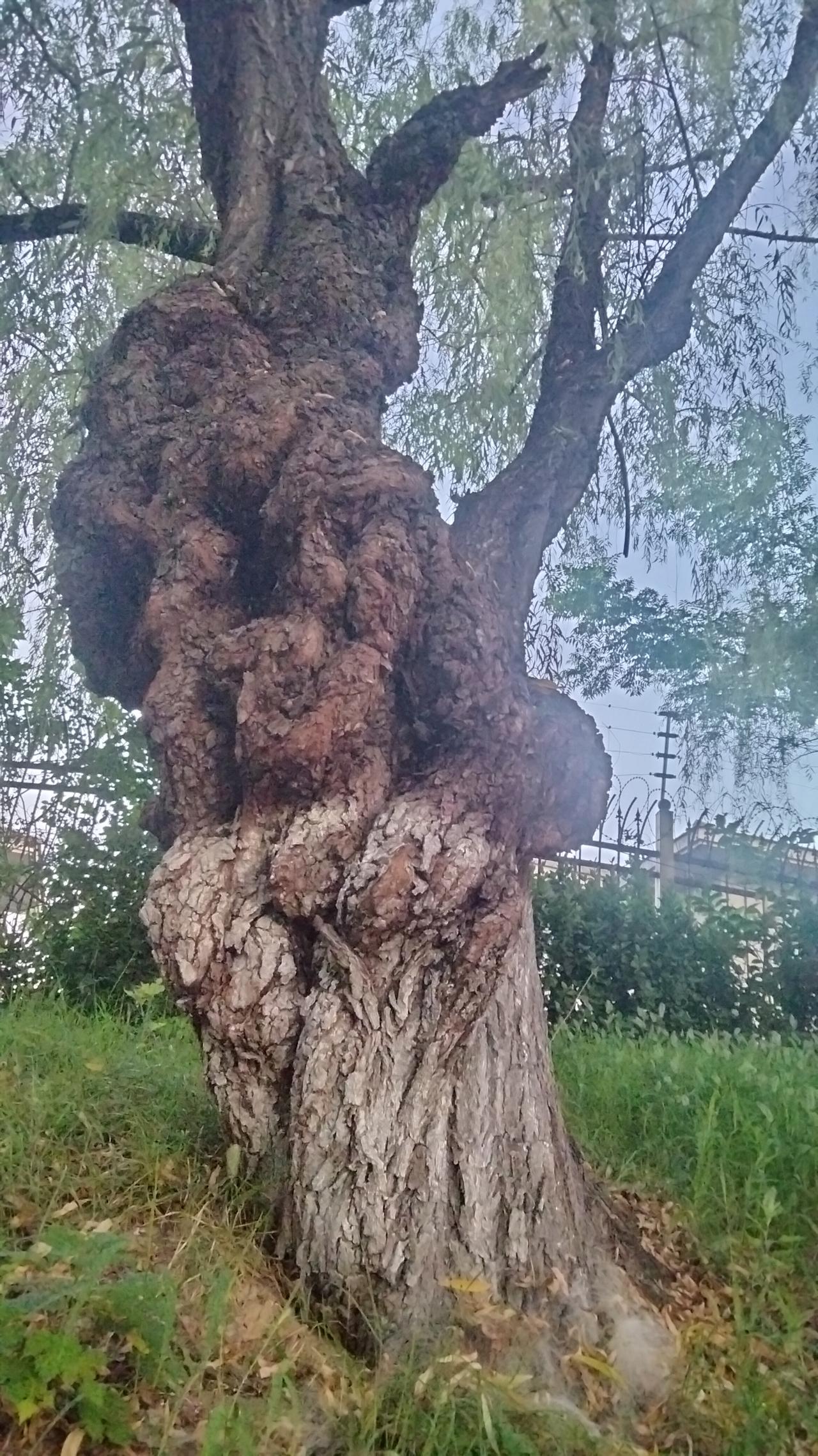 分享一张最近随手拍的照片中饱私囊。