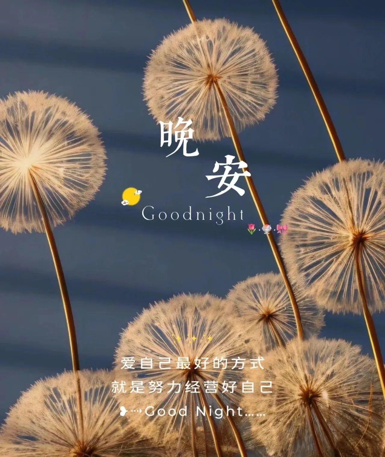 过往不恋，未来不迎，当下不负，努力做一个温暖的人，不求大富大贵，只求生活简单快乐