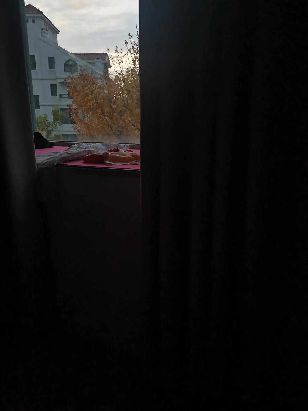 被闹钟叫醒的一天[哈欠]
起床给娃娃做早餐，每天透过窗户看外面的四季，现在是秋天