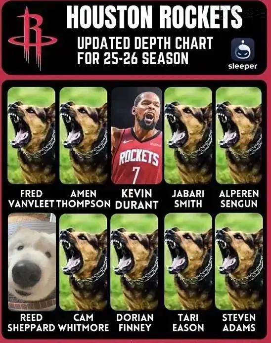 一个赛季接近结束，现在回看这张图分析评价下

评级按五档分：顶级猛犬，强力护卫犬