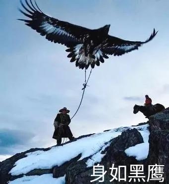 萧峰对掌慕容博，萧远山飞落护犊子，如此名场面竟源自一句唐诗

在少室山前，慕容复