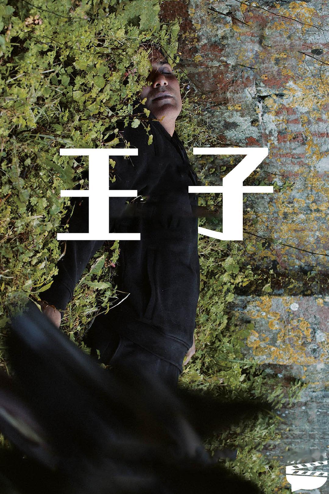 #翻了个译[超话]# 【电影《王子》中英文字幕】第76届戛纳电影节导演双周单元剧