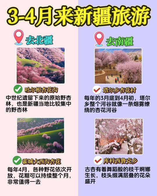 3-4月新疆旅游攻略📝南疆&北疆怎么选❓ 🌿春天的新疆，冰雪消融...