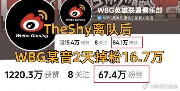 网友热议：WBG真就是Theshy队？theshy走了掉粉超28万多！两天时间，
