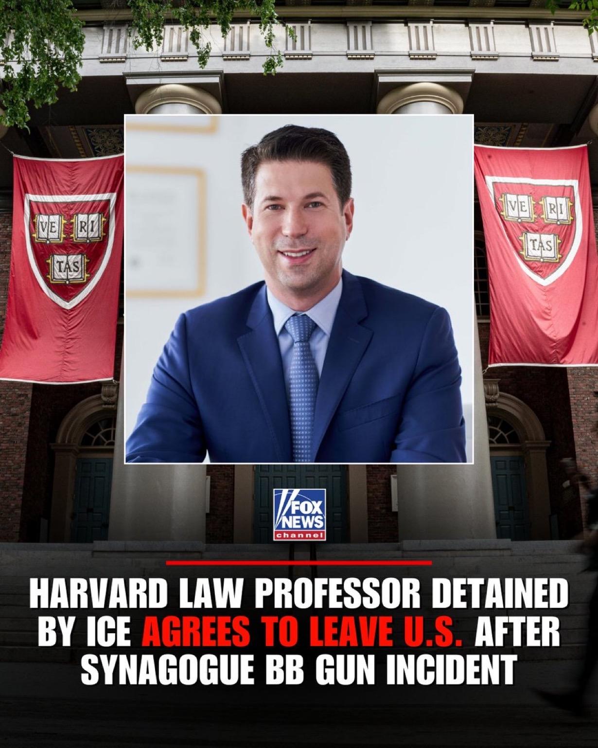 美国国土安全部称，美国移民及海关执法局拘留了一名哈佛法学院的访问教授，该教授被指