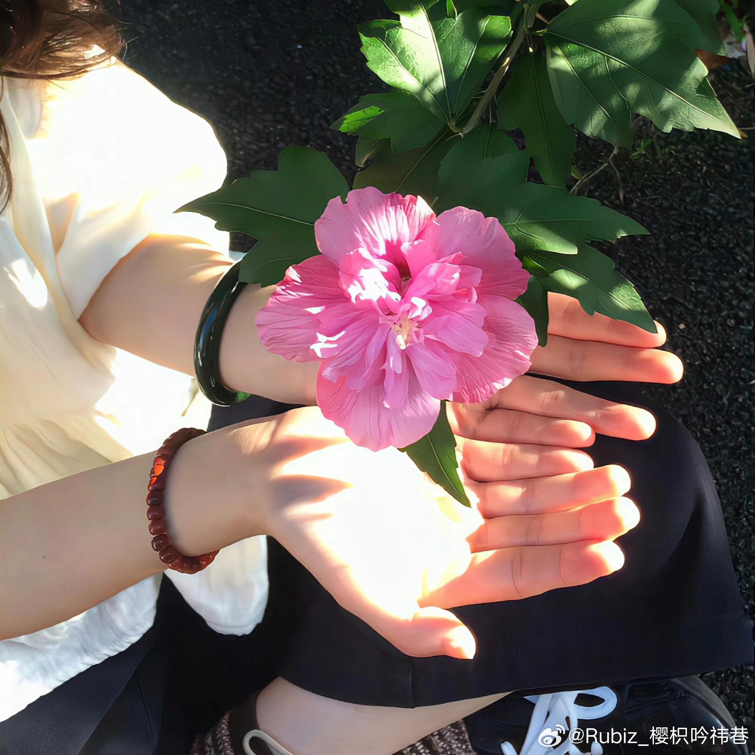 赴一场绿意温柔🍃𝗪𝗲𝗖𝗵𝗮𝘁 | 绿意 | 治愈 | 日常女头 