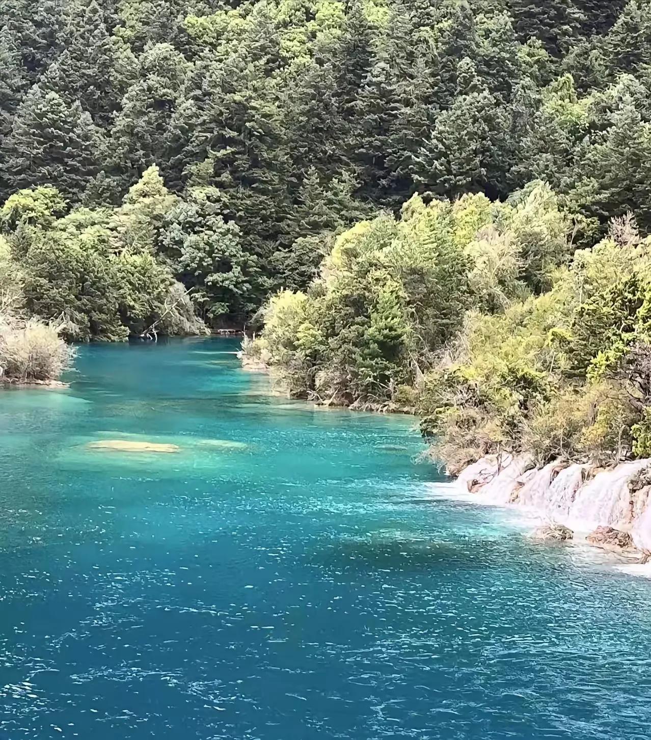 儿时老家院子里浓浓的年味(之一)

       儿时，老家院子里过年时，总是流