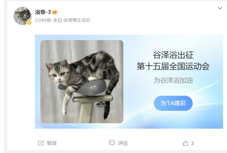 第十五届全运会 微博这个卡片搭配头像太逗了！ ​​​