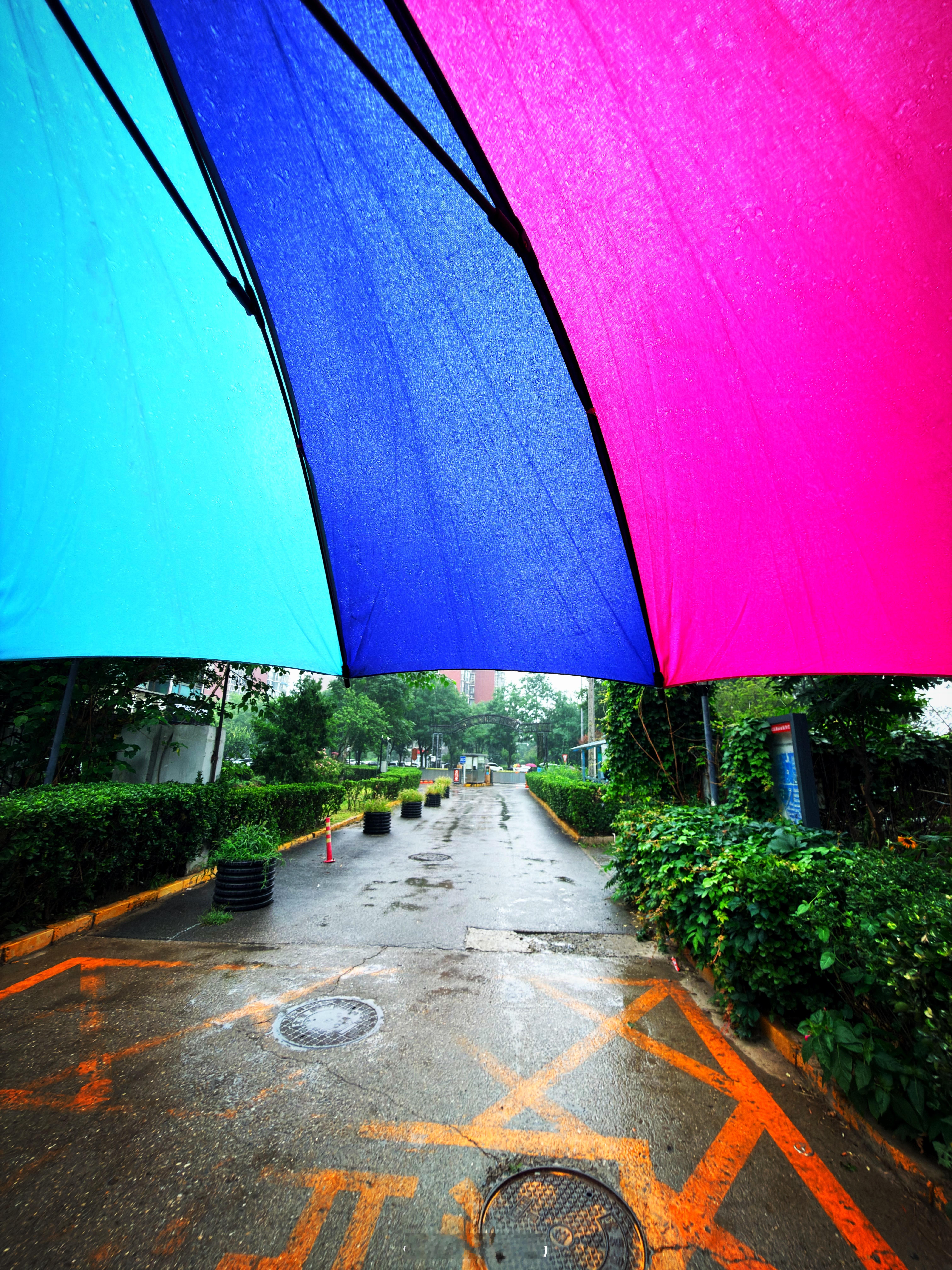 下雨了，早，同学们！上班没？ 北京