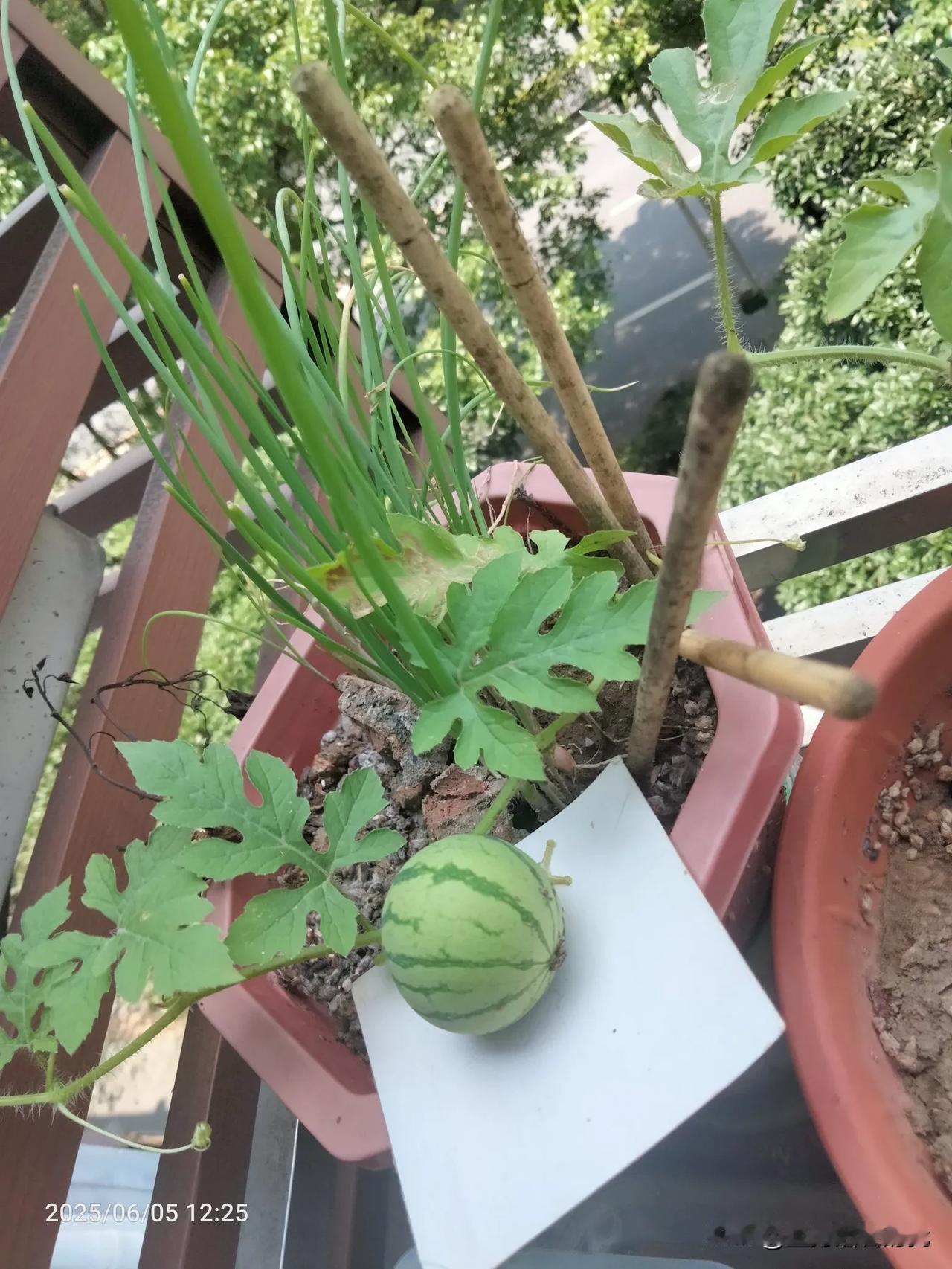 今天心情真的很不好，
领导又安排了一个新的工作给我，
就是增加了我的工作量，
但