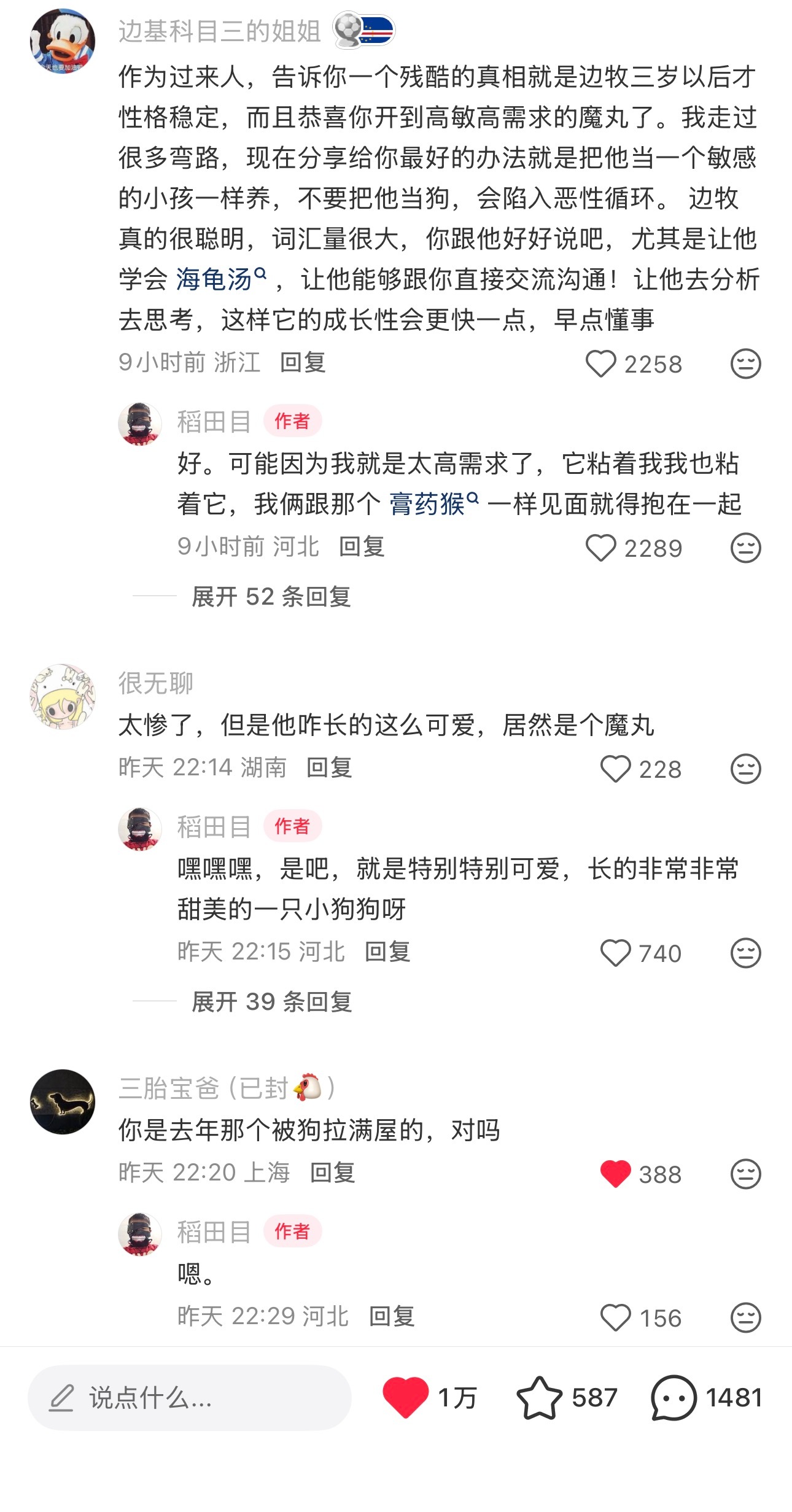 网友：你是去年那个被狗拉满屋的，对吗？博主：嗯 