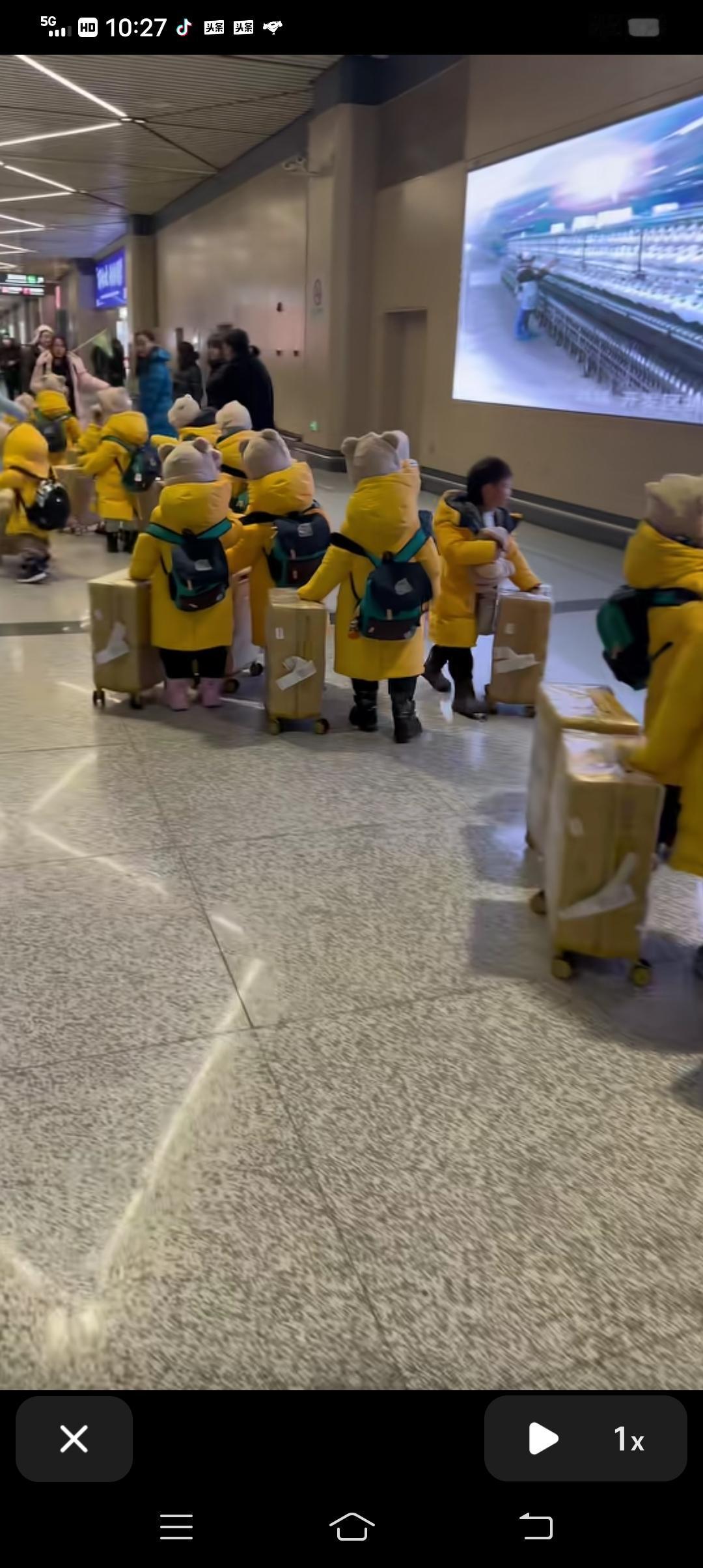 “衢州小鸭头”勇闯哈尔滨冰雪大世界！
网友吐槽:这一套装备下来，挨个不得搂你3.