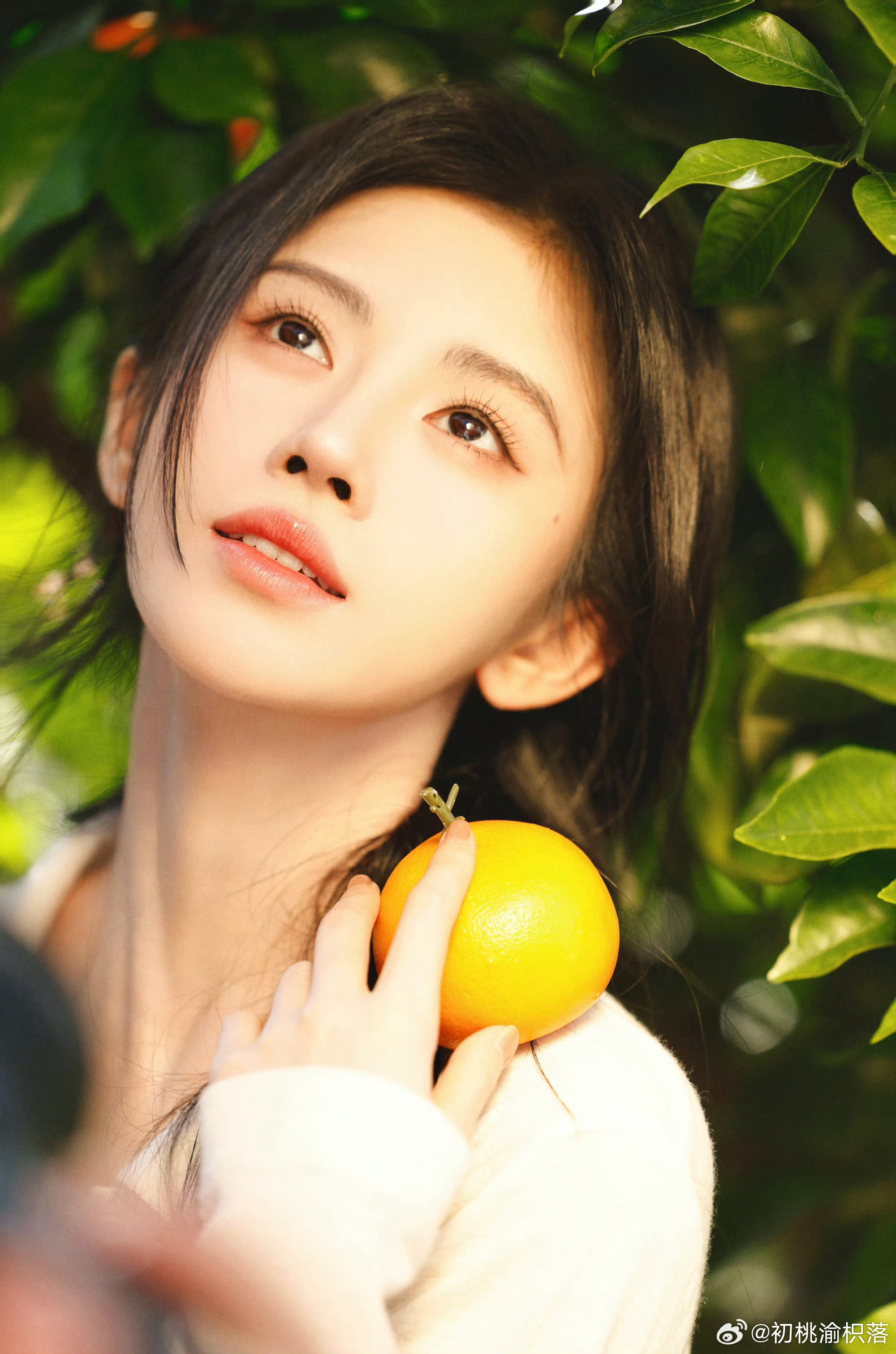 鞠婧祎 jjy鞠婧祎苏绿夏 jjy鞠婧祎万花世界 “爱雾四起 人们都去寻找高贵的