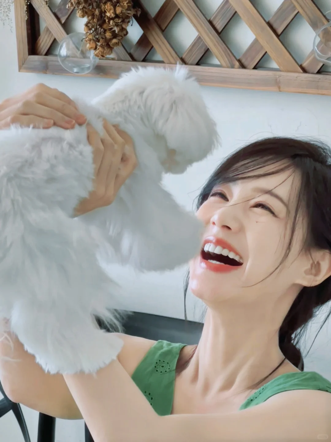 李一桐 壁纸