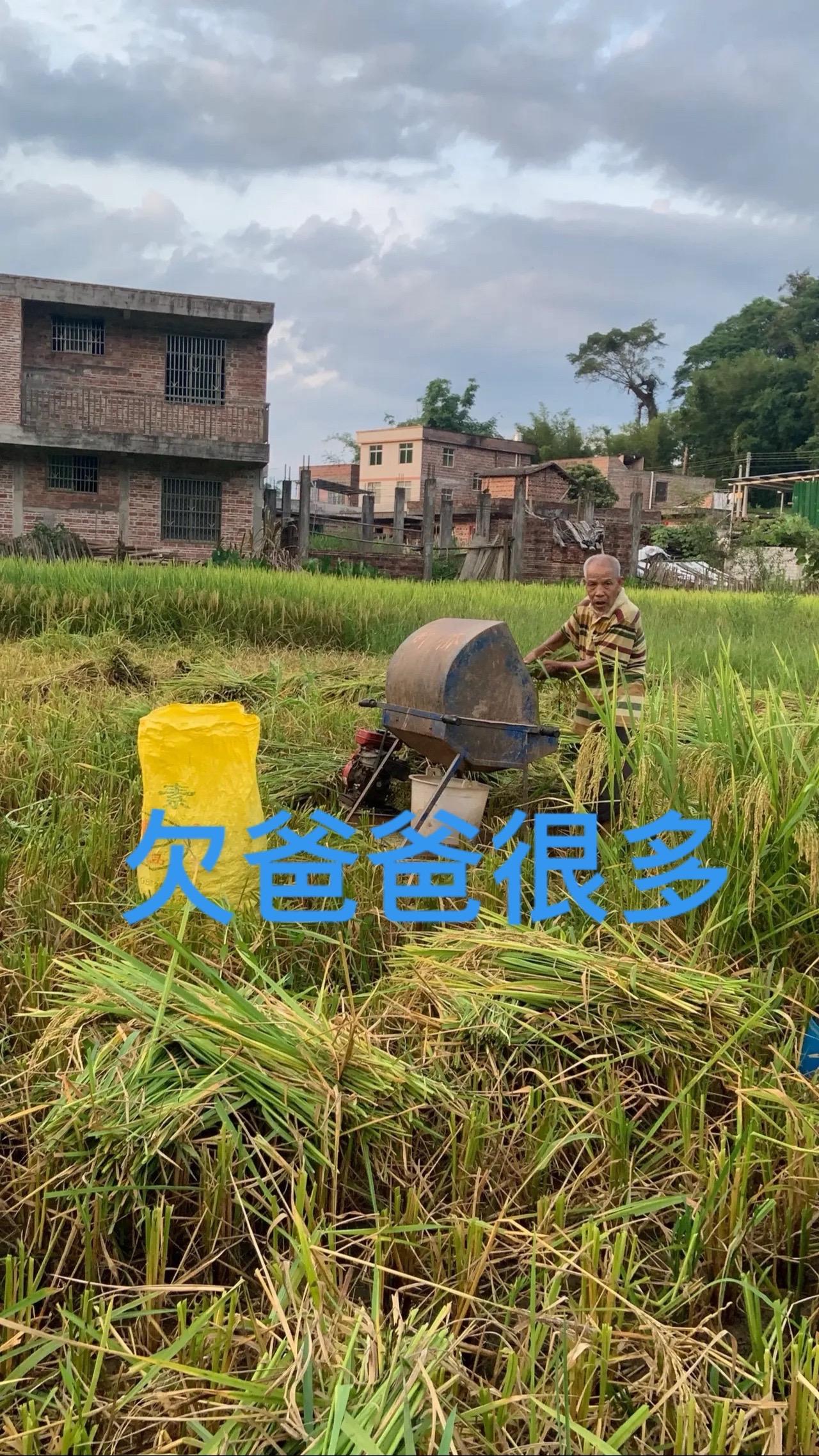 想远嫁对不起我吧、不远嫁对不起自己、30 岁的人
不知道该做什么样的选择、很迷茫