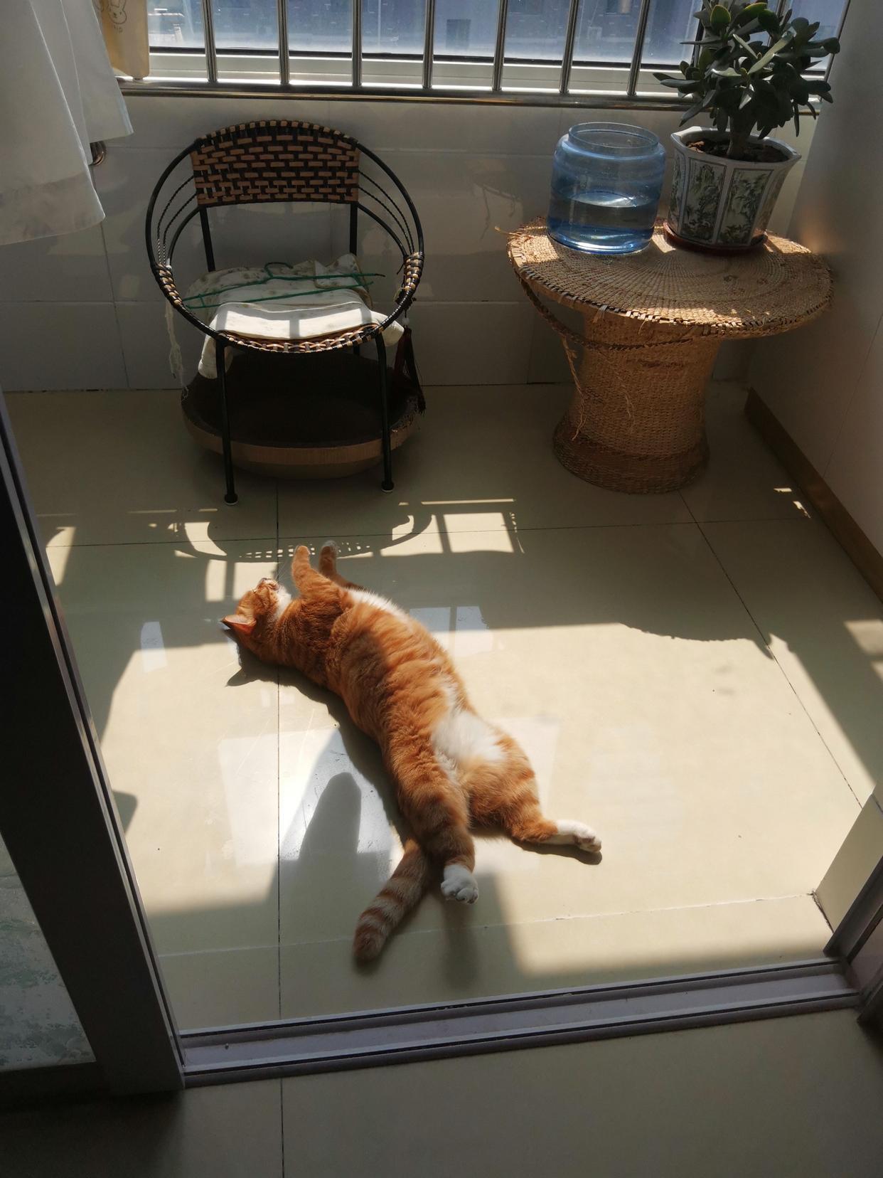 全网都在向往松弛感，这才是松弛感。
松弛感 
生活点松弛感 
不刻意的松弛感 