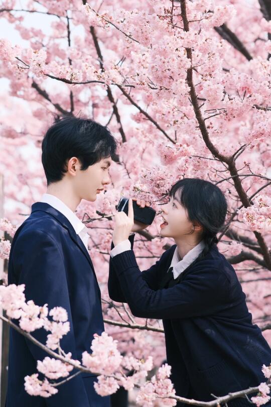 🌸树下，拉弟弟当站牌工具人……