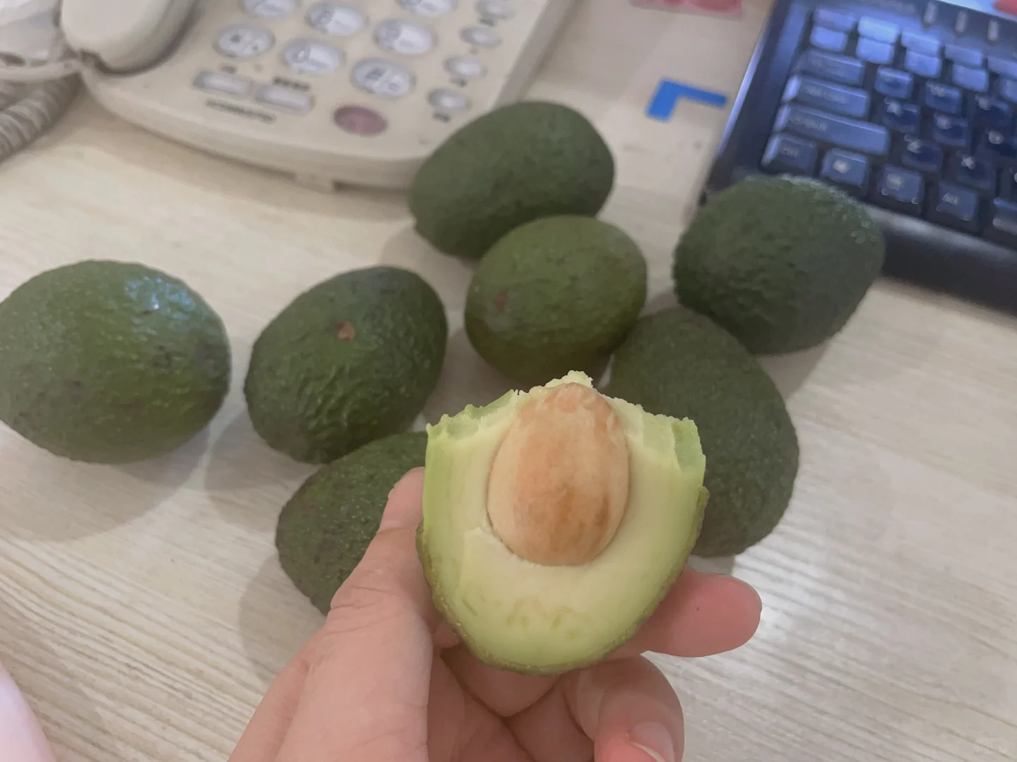 又到吃云南牛油果的季节啦🥑